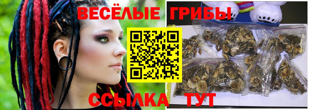 Галлюциногенные грибы GOLDEN TEACHER Сарапул